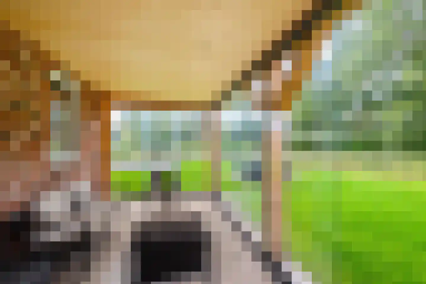 Houtvester Jansenweg 2 219 Gasselte thumbnail 32