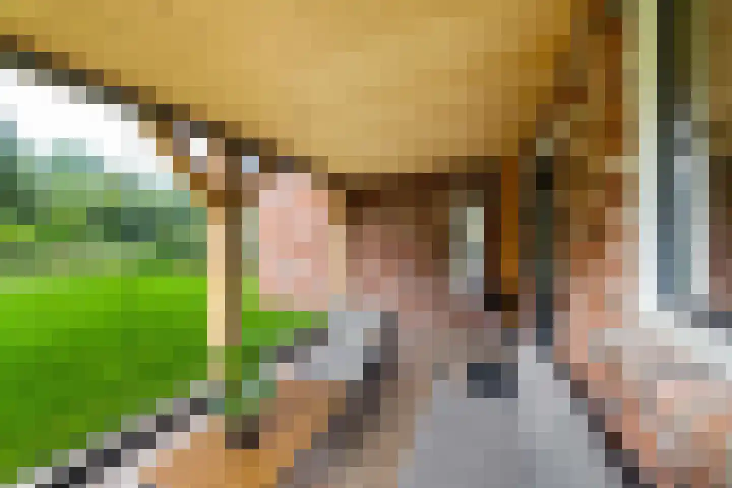 Houtvester Jansenweg 2 219 Gasselte thumbnail 33