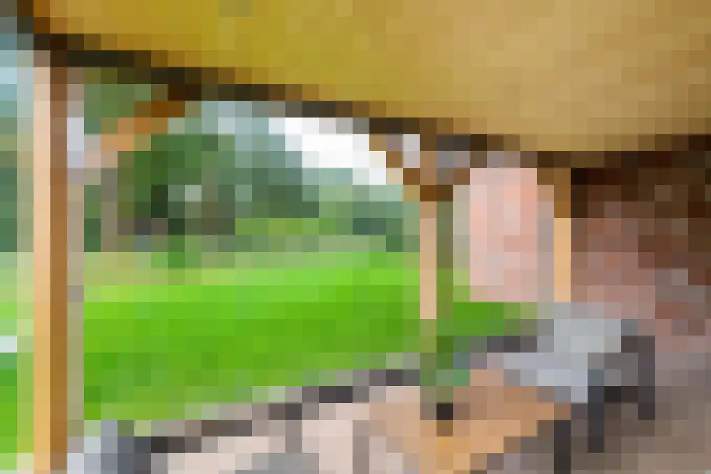 Houtvester Jansenweg 2 219 Gasselte thumbnail 34