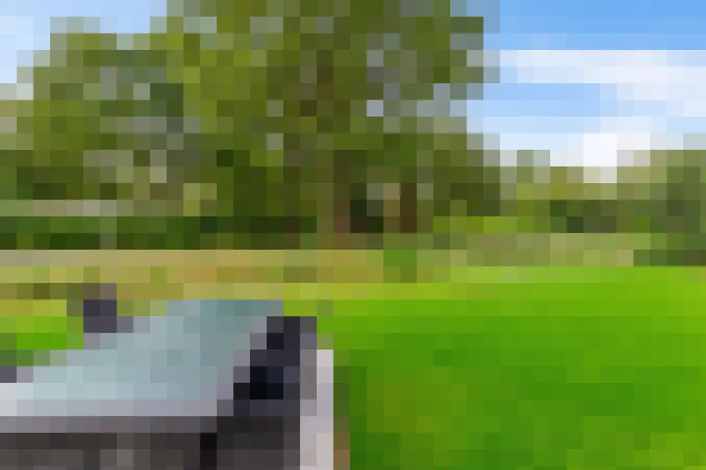 Houtvester Jansenweg 2 219 Gasselte thumbnail 39