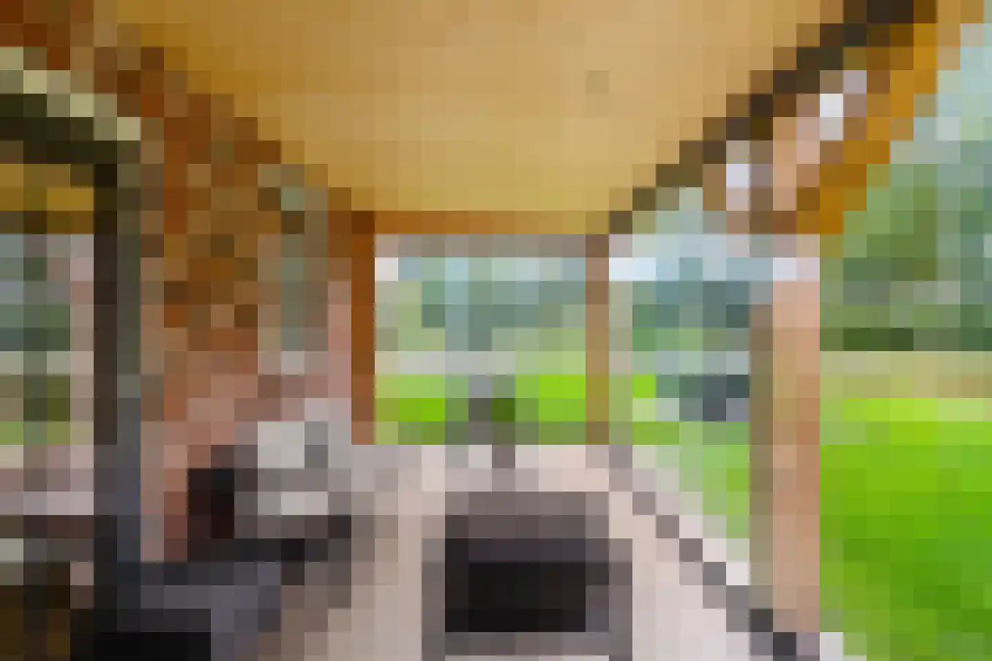 Houtvester Jansenweg 2 219 Gasselte thumbnail 5