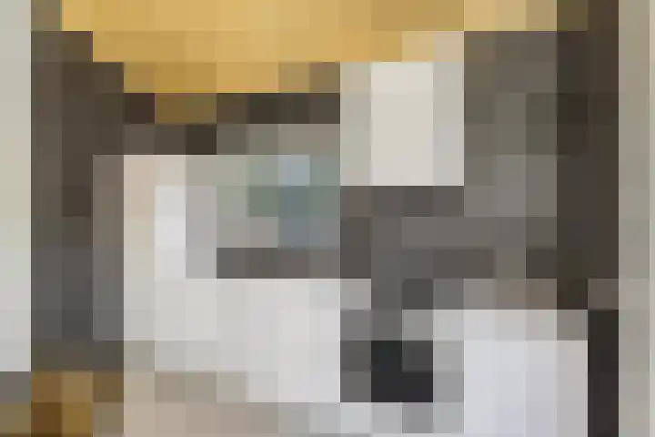 Houtvester Jansenweg 2 220 Gasselte thumbnail 11