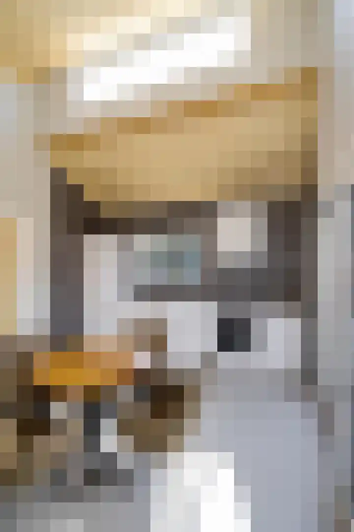 Houtvester Jansenweg 2 220 Gasselte thumbnail 14