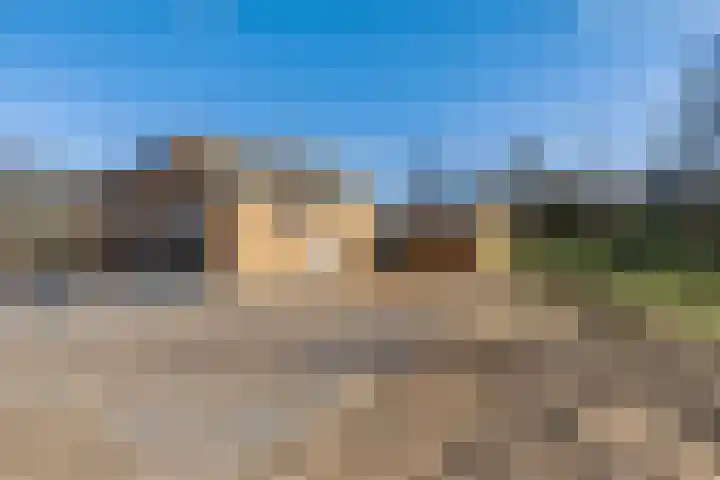 Houtvester Jansenweg 2 220 Gasselte thumbnail 26
