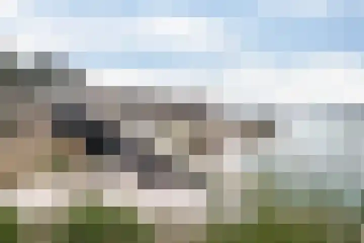 Houtvester Jansenweg 2 220 Gasselte thumbnail 31