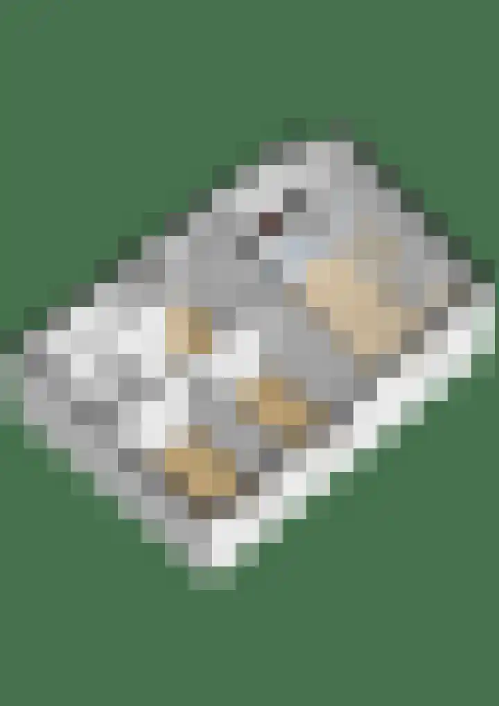 Houtvester Jansenweg 2 220 Gasselte thumbnail 36