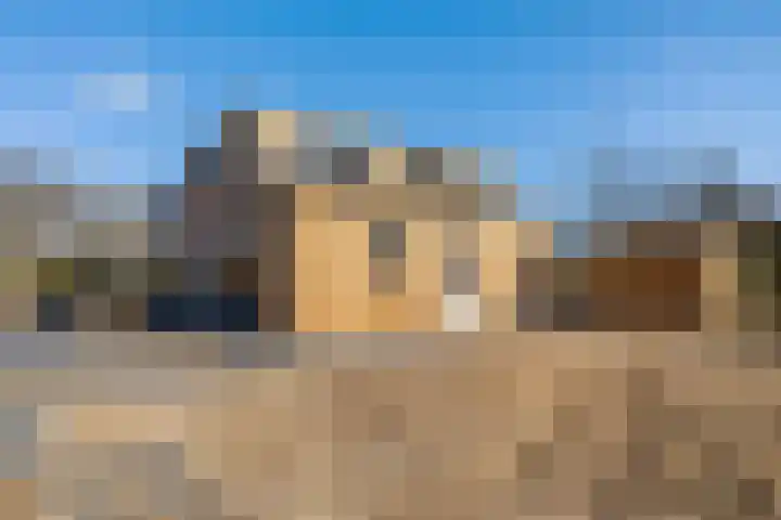 Houtvester Jansenweg 2 220 Gasselte thumbnail 8