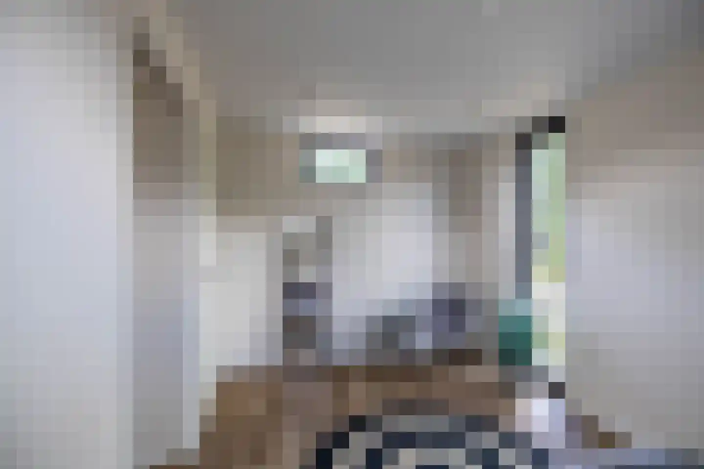 Houtvester Jansenweg 2 223 Gasselte thumbnail 15