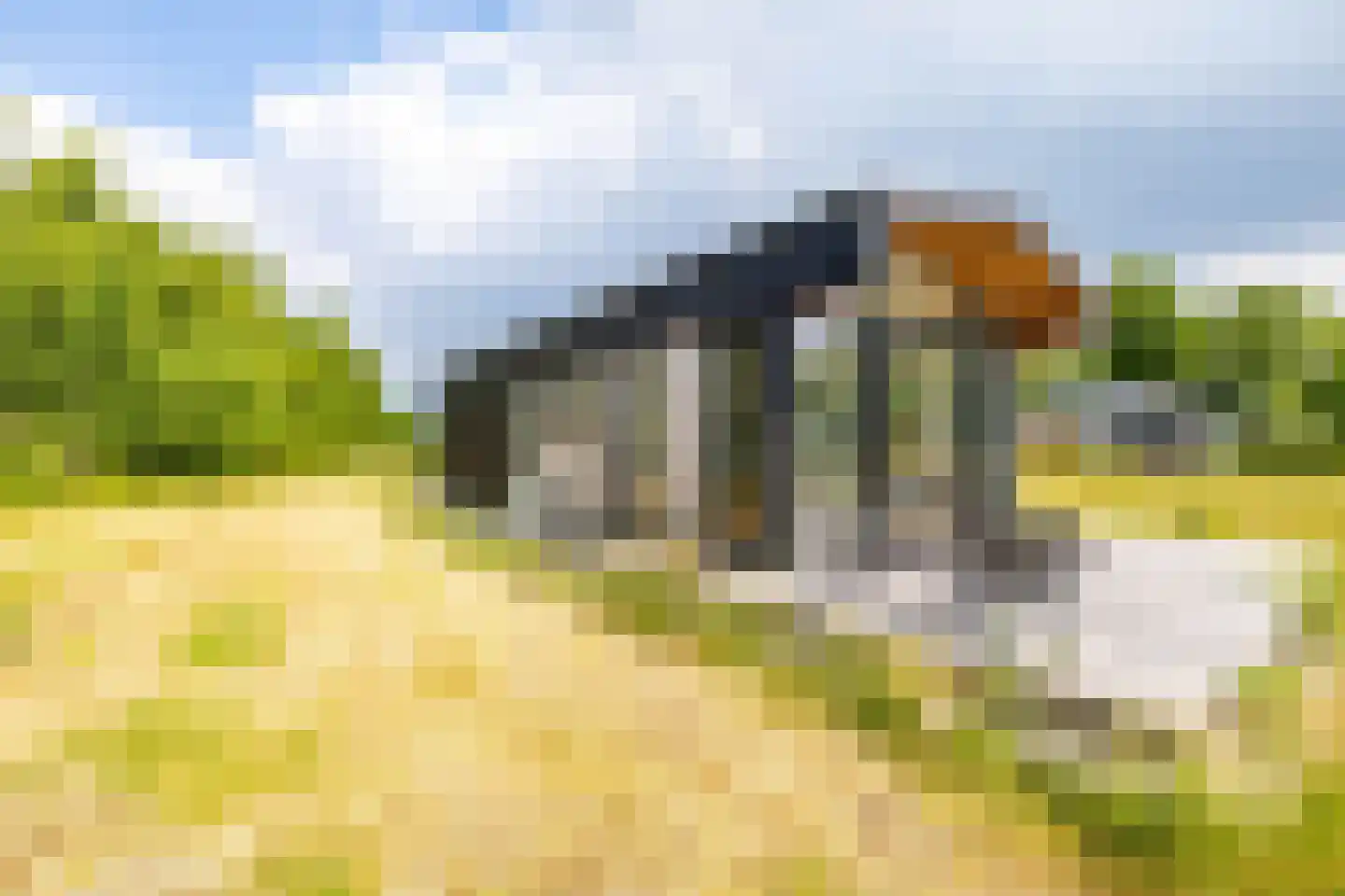 Houtvester Jansenweg 2 223 Gasselte thumbnail 22