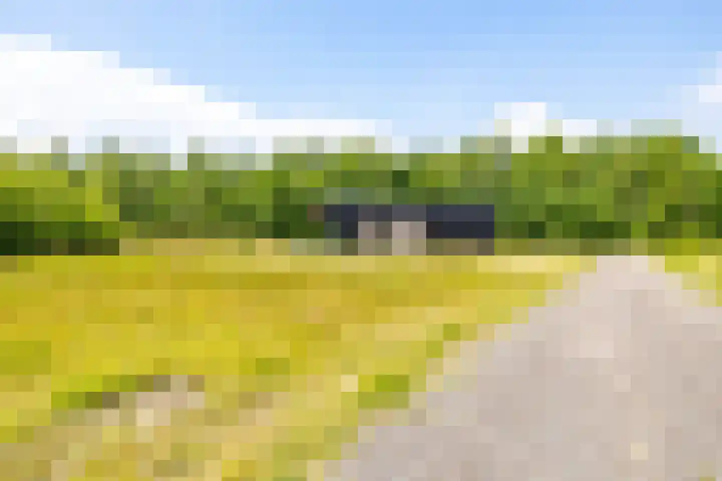 Houtvester Jansenweg 2 223 Gasselte thumbnail 23