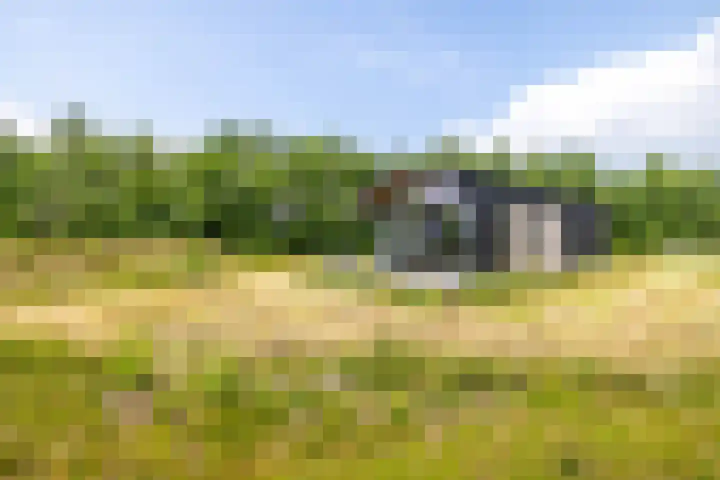 Houtvester Jansenweg 2 223 Gasselte thumbnail 5