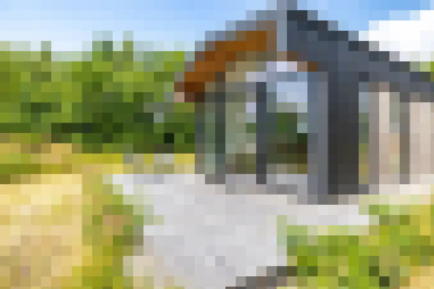 Houtvester Jansenweg 2 223 Gasselte thumbnail 6
