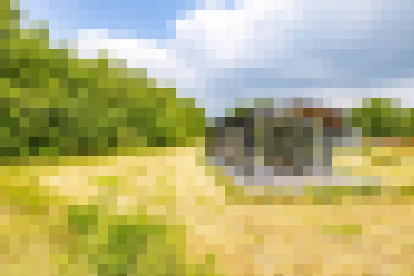 Houtvester Jansenweg 2 223 Gasselte thumbnail 7