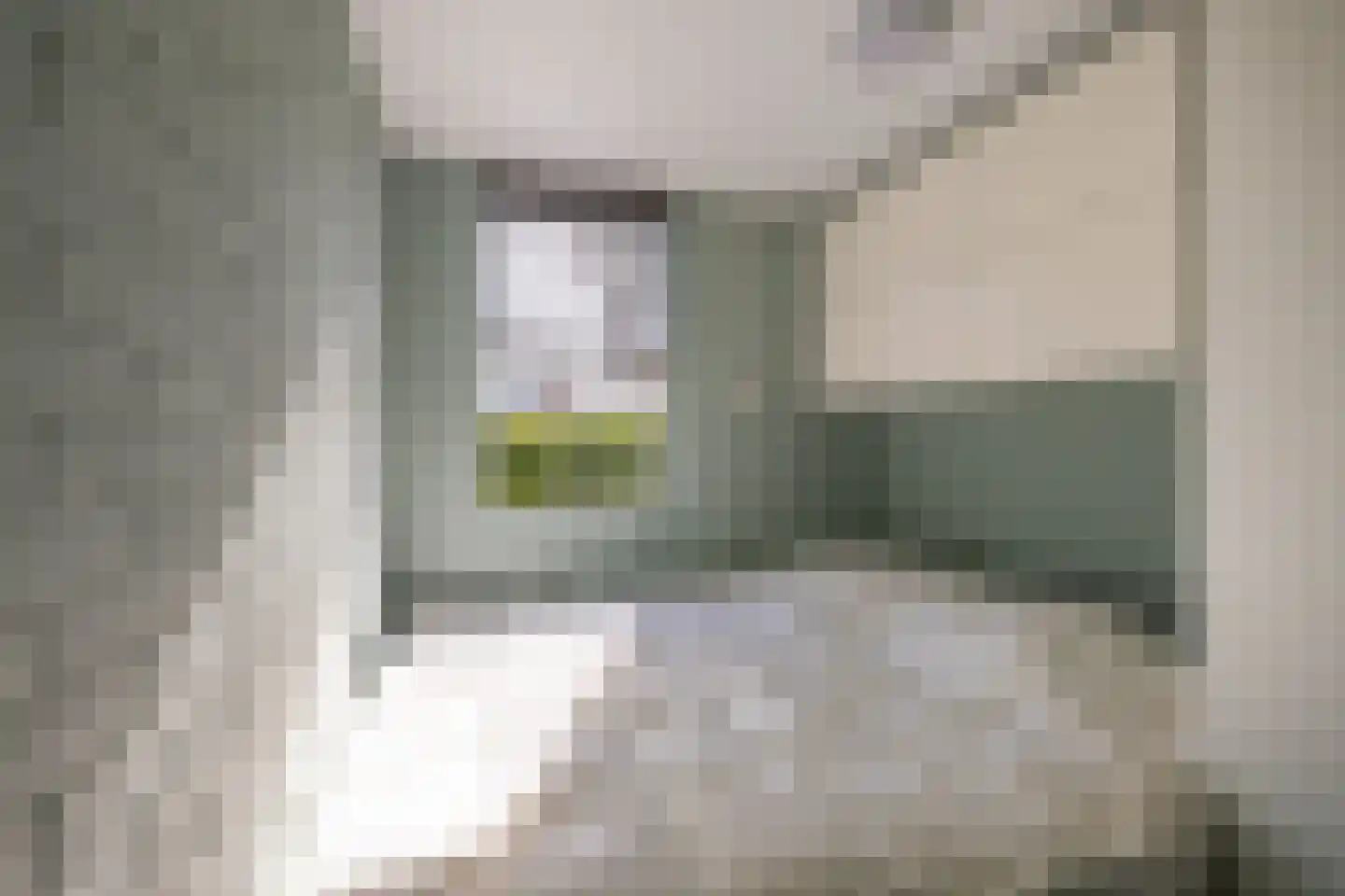Houtvester Jansenweg 2 23 Gasselte thumbnail 28