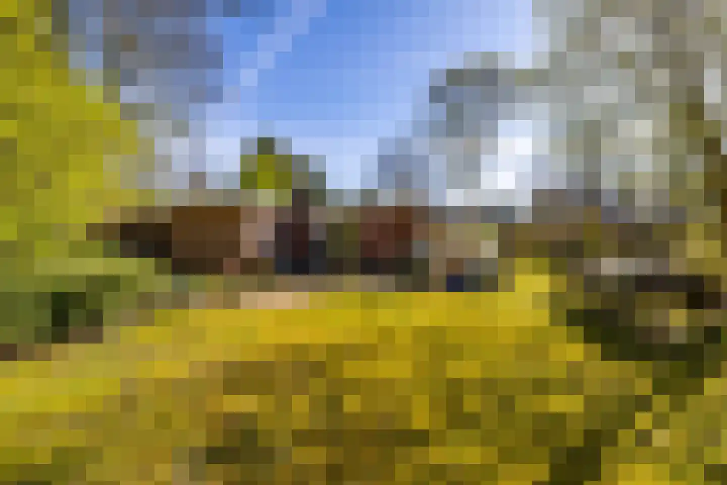Houtvester Jansenweg 2 23 Gasselte thumbnail 33