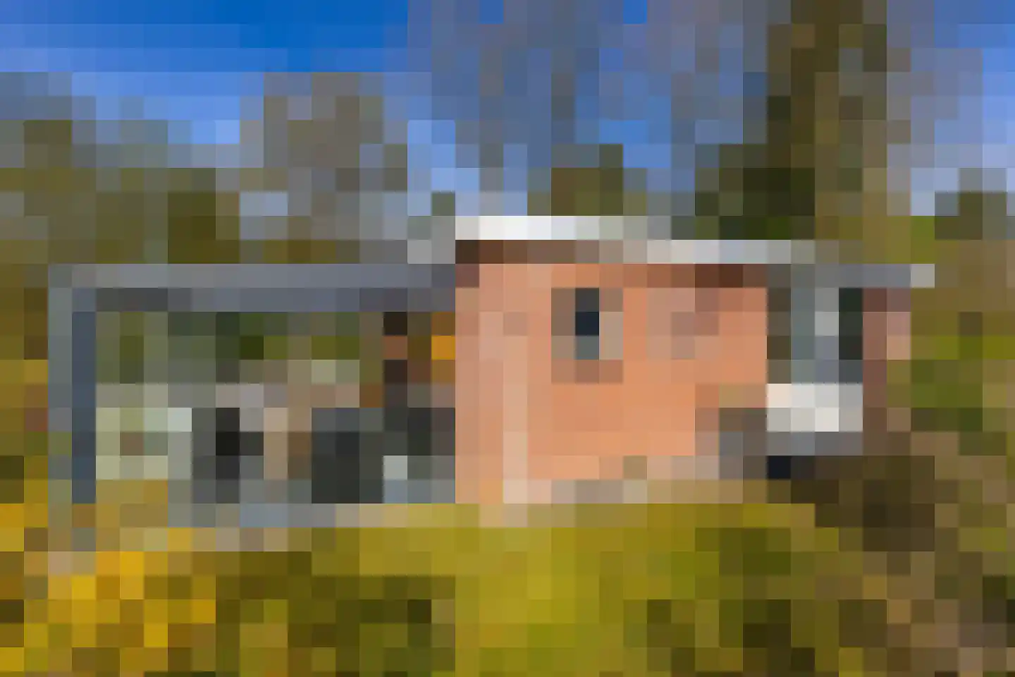 Houtvester Jansenweg 2 23 Gasselte thumbnail 34