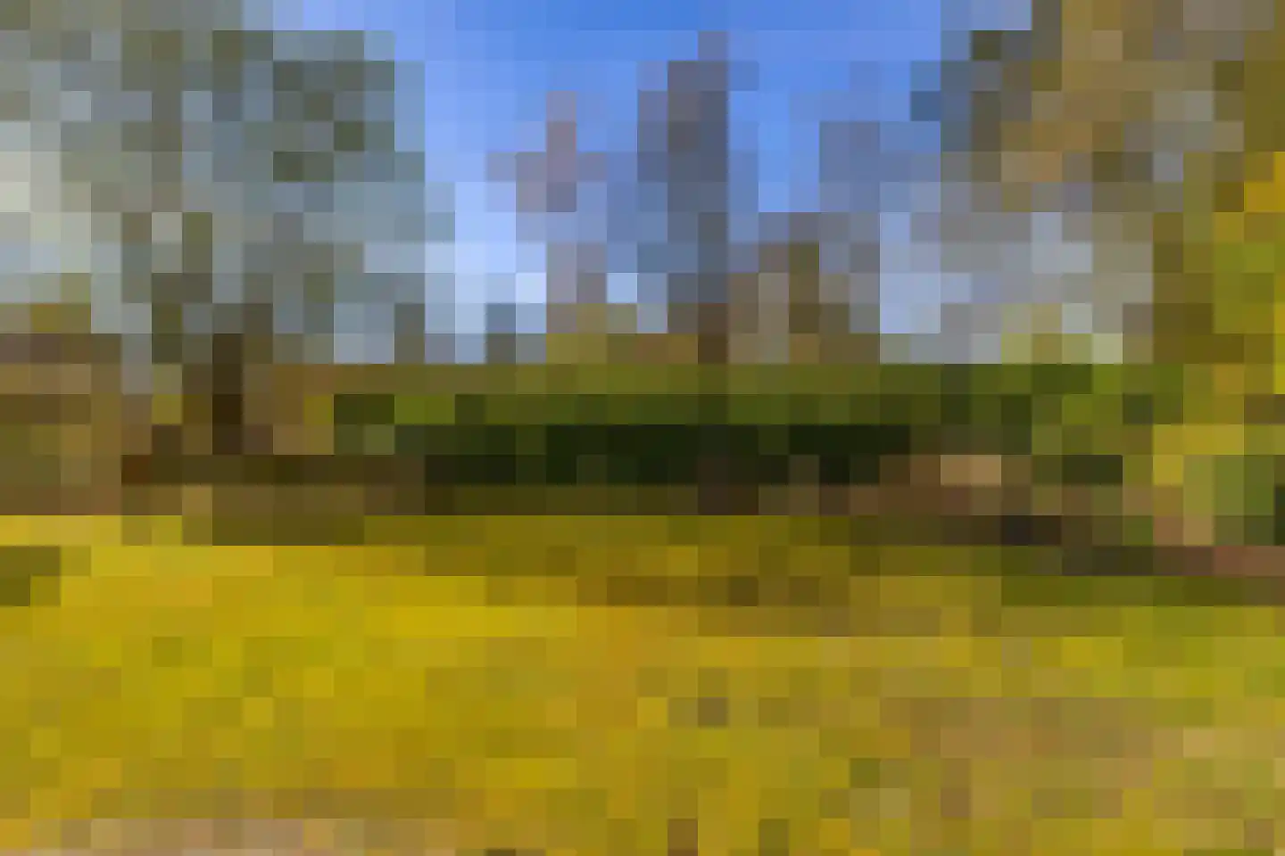Houtvester Jansenweg 2 23 Gasselte thumbnail 35