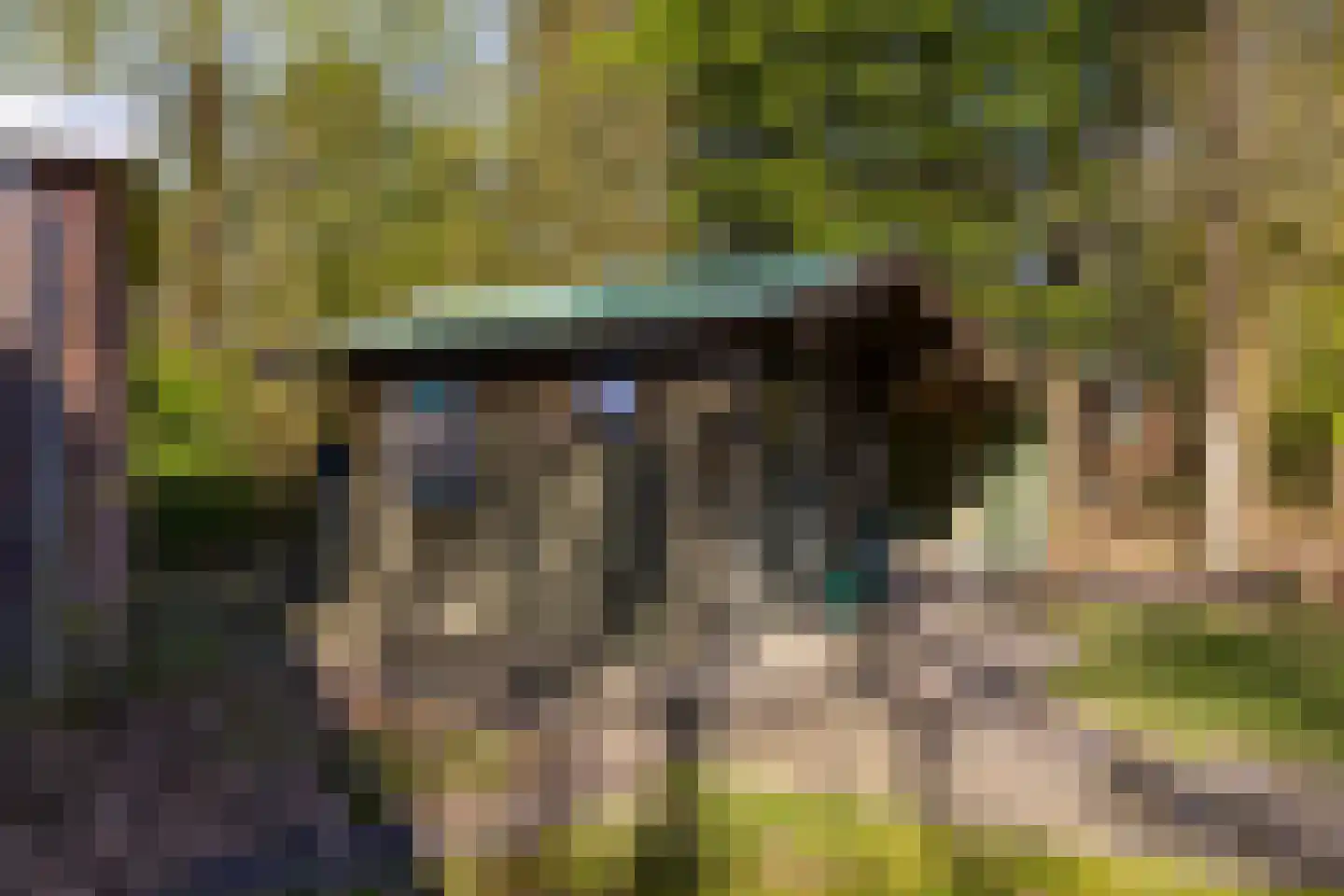 Houtvester Jansenweg 2 23 Gasselte thumbnail 36