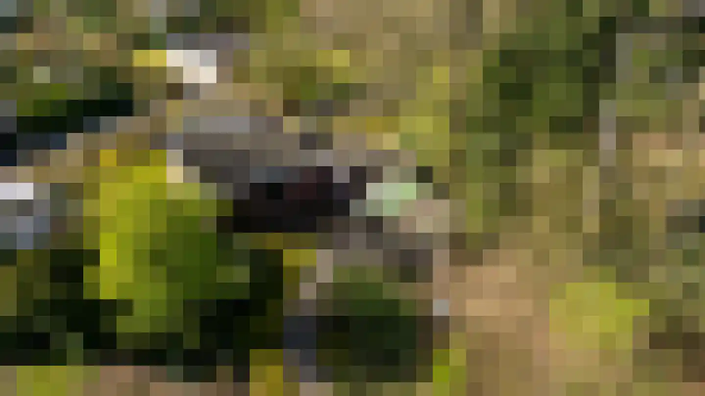Houtvester Jansenweg 2 23 Gasselte thumbnail 38