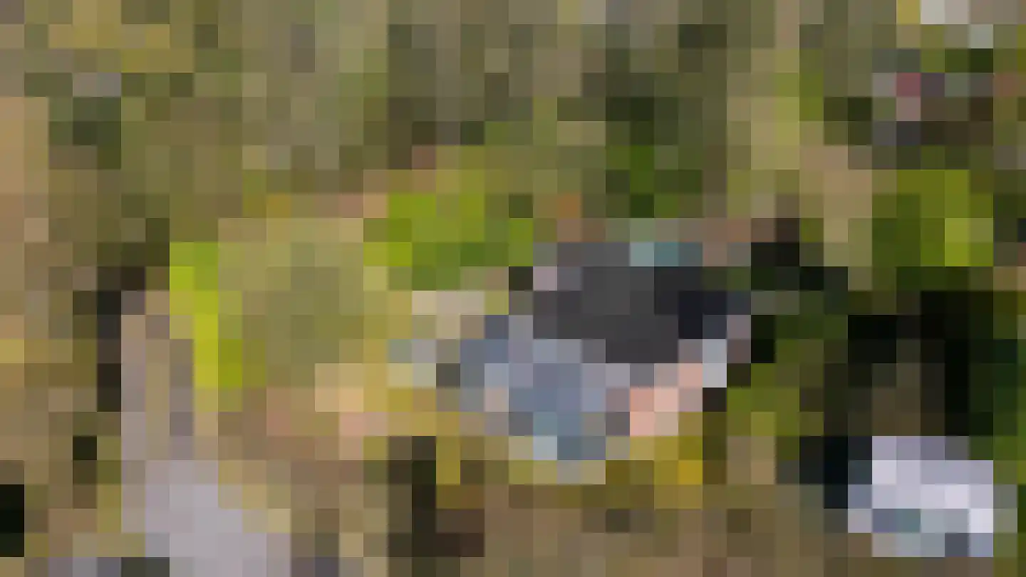 Houtvester Jansenweg 2 23 Gasselte thumbnail 40
