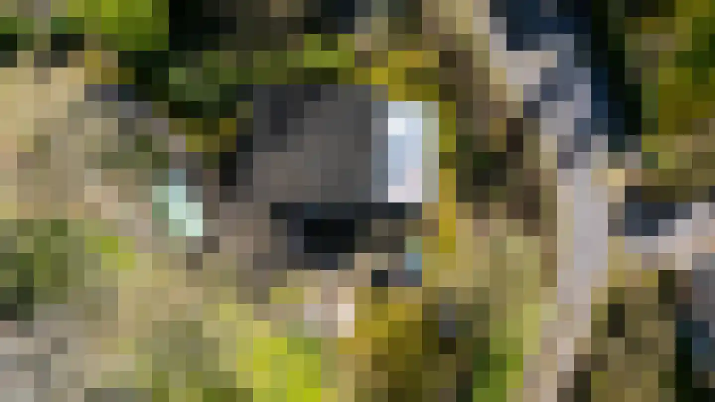 Houtvester Jansenweg 2 23 Gasselte thumbnail 41