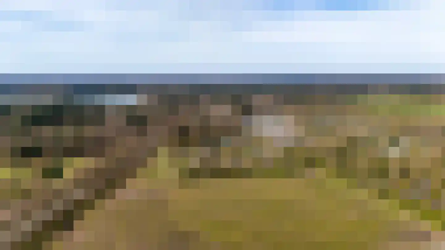 Houtvester Jansenweg 2 23 Gasselte thumbnail 44