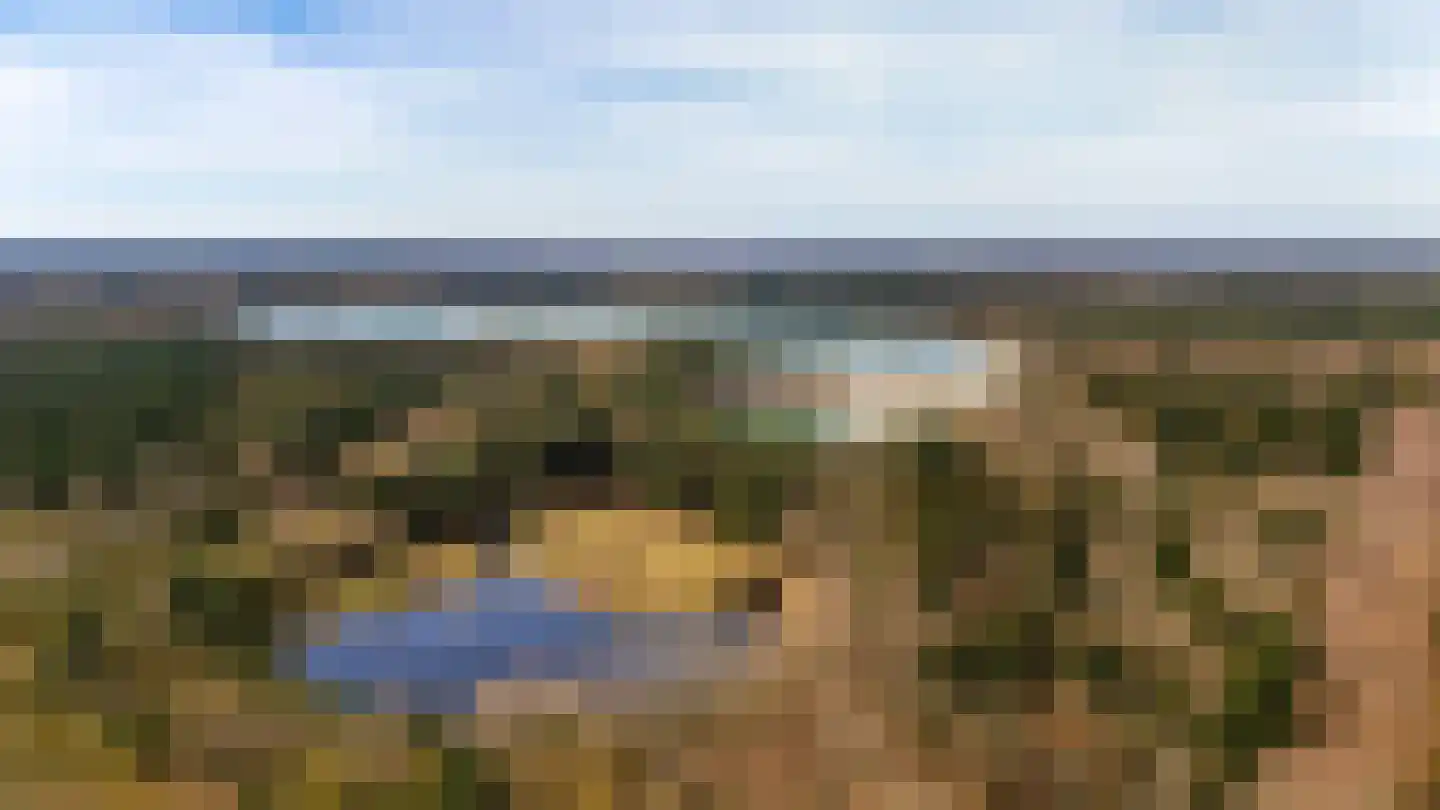 Houtvester Jansenweg 2 23 Gasselte thumbnail 45