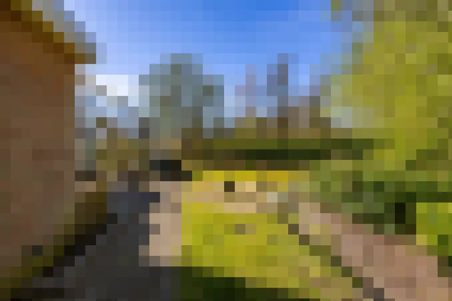 Houtvester Jansenweg 2 23 Gasselte thumbnail 7