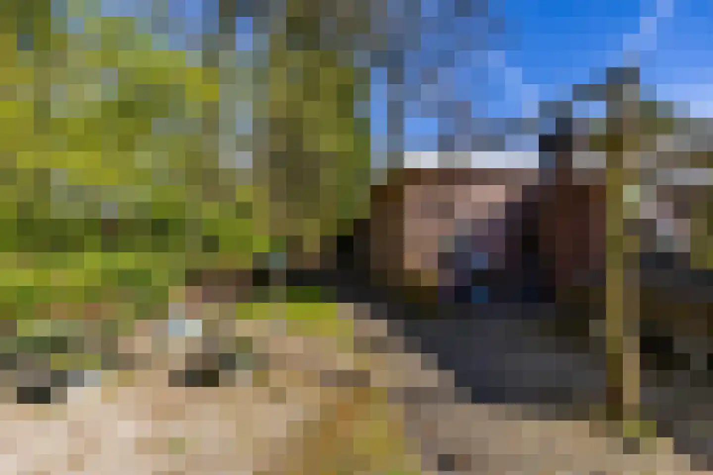 Houtvester Jansenweg 2 23 Gasselte thumbnail 8