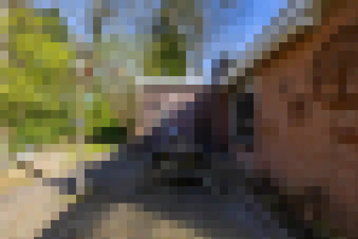 Houtvester Jansenweg 2 23 Gasselte thumbnail 9