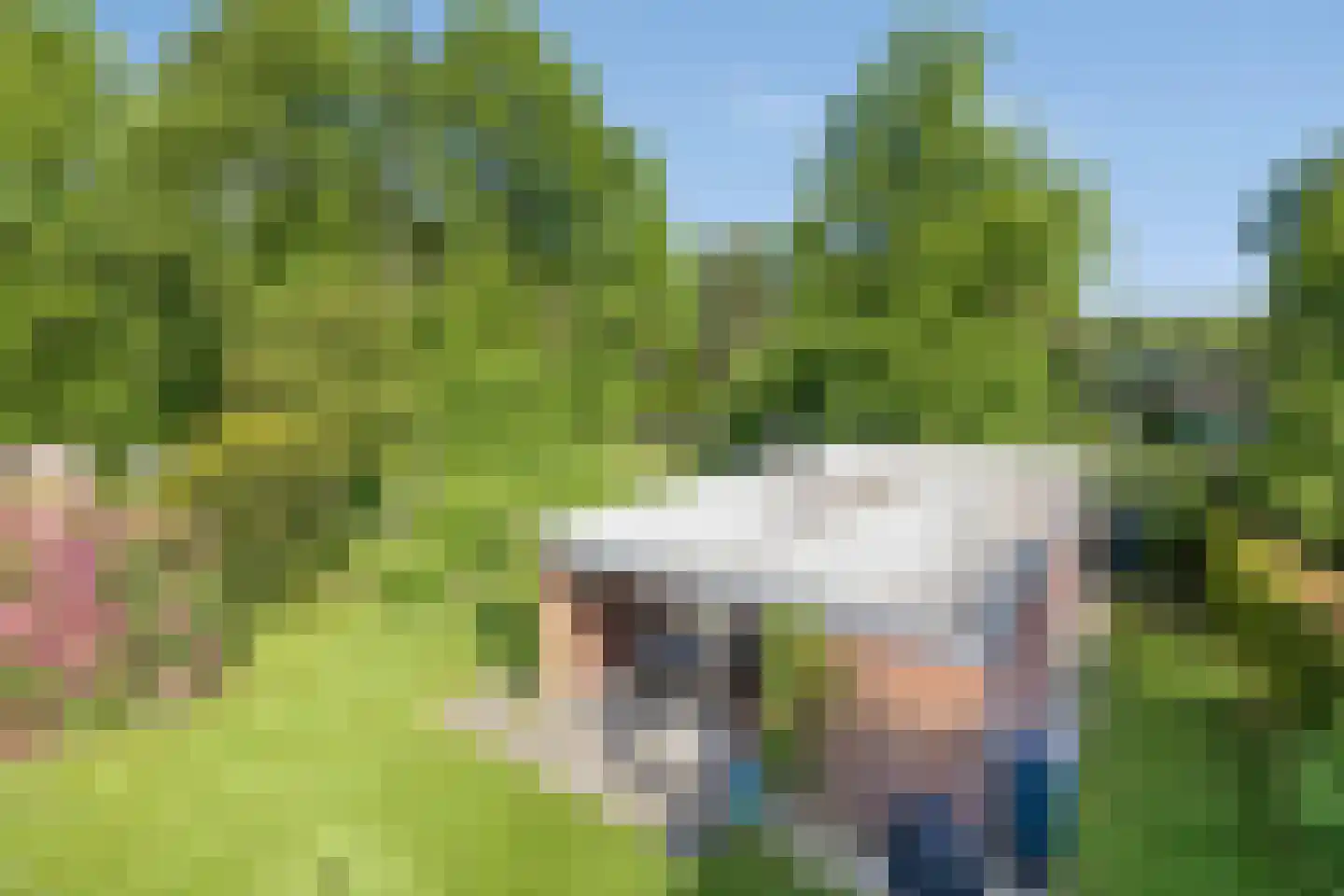 Houtvester Jansenweg 2 24 Gasselte thumbnail 26