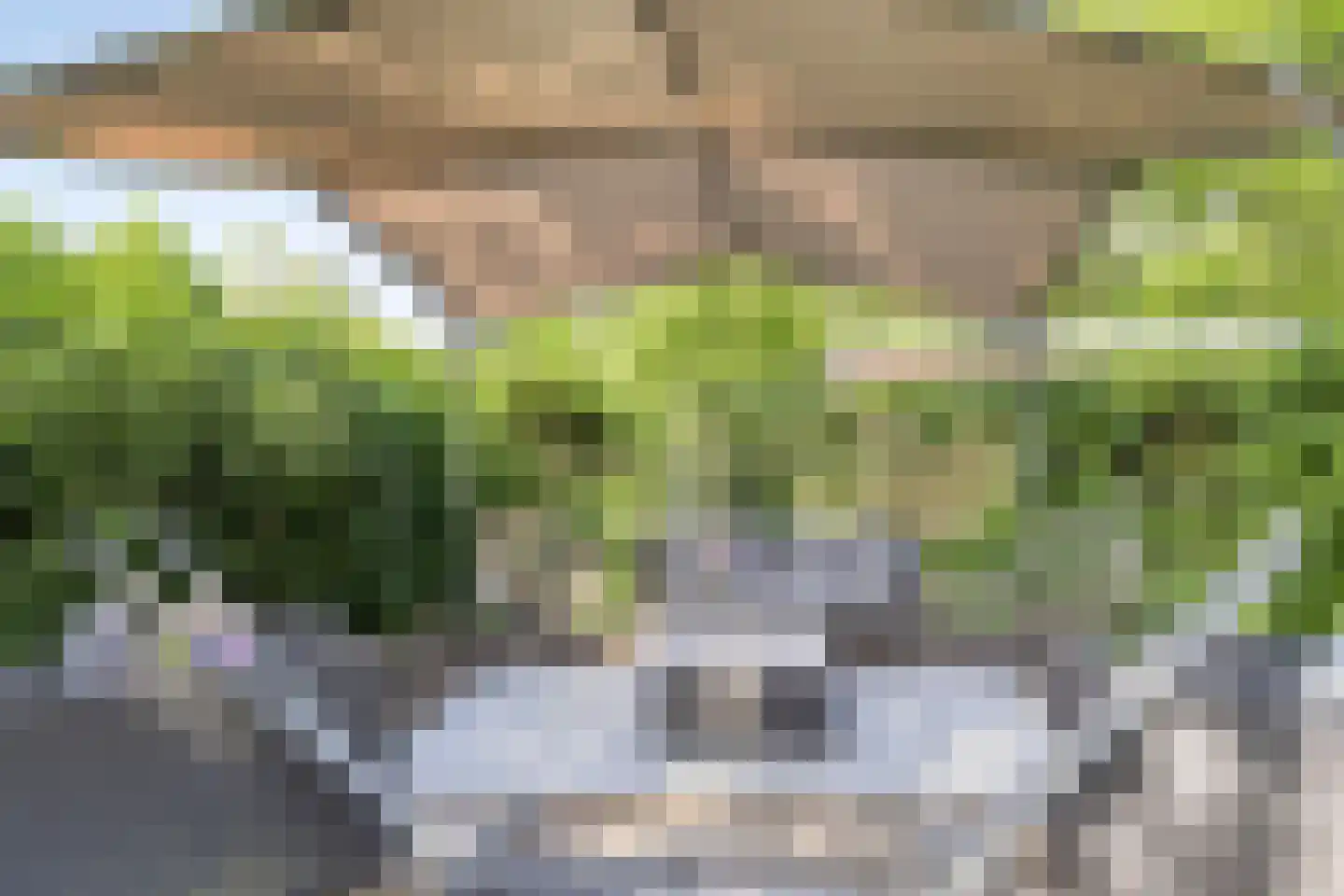 Houtvester Jansenweg 2 24 Gasselte thumbnail 29