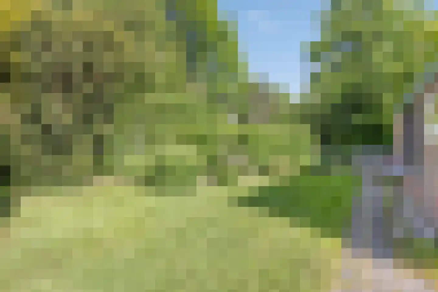 Houtvester Jansenweg 2 24 Gasselte thumbnail 30