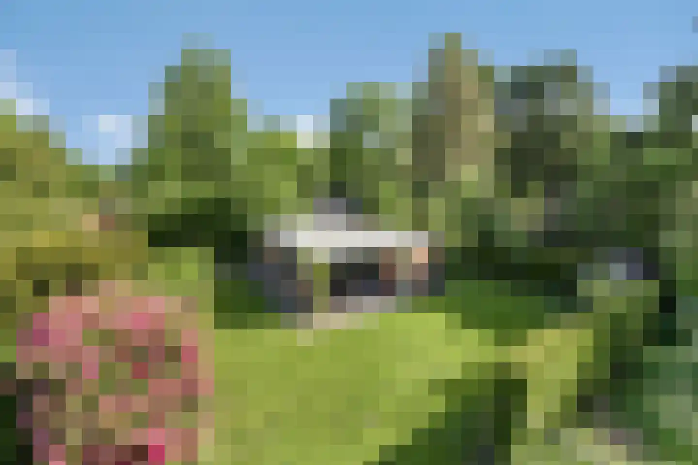 Houtvester Jansenweg 2 24 Gasselte thumbnail 4