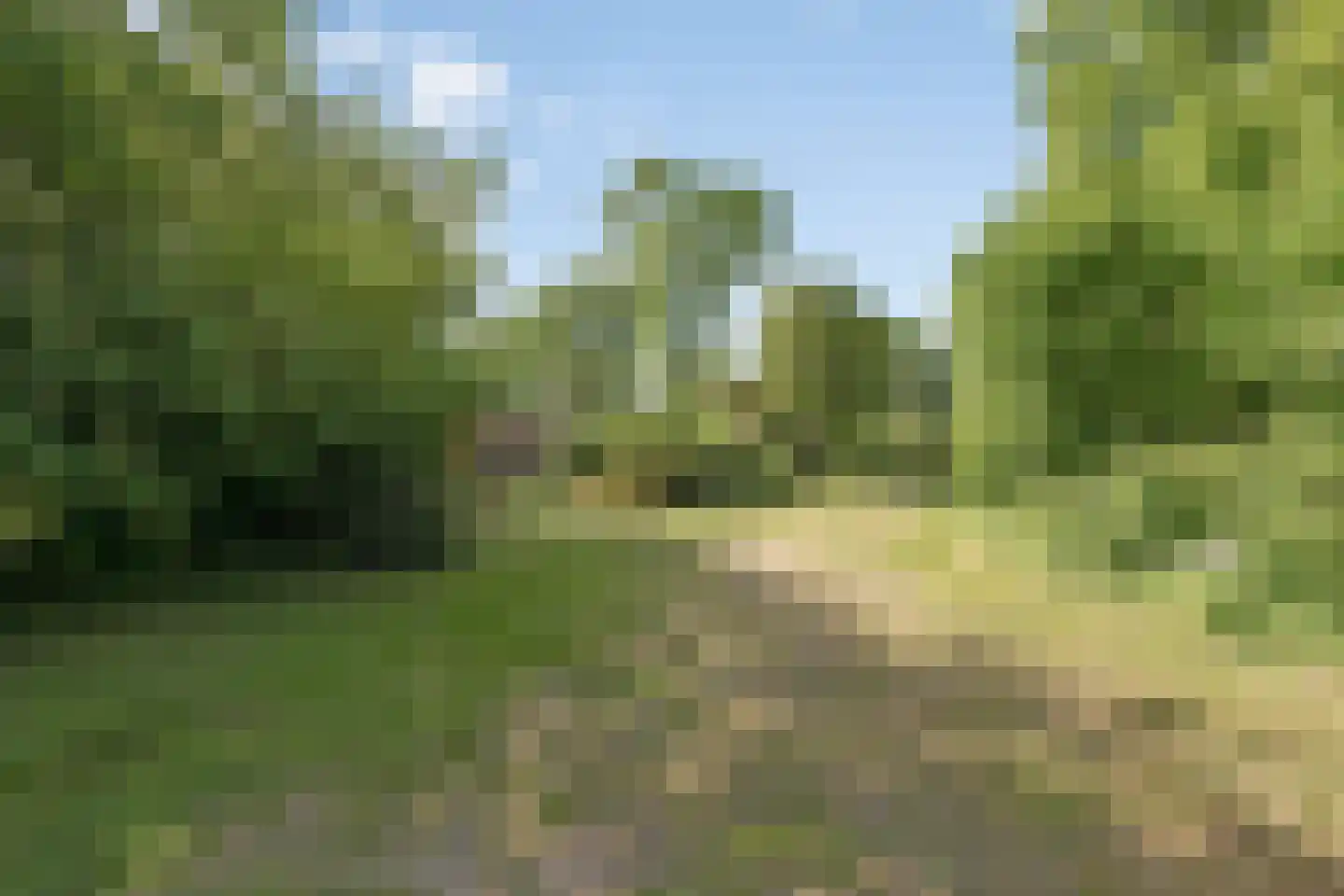 Houtvester Jansenweg 2 24 Gasselte thumbnail 5