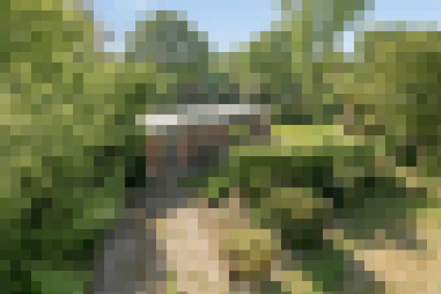 Houtvester Jansenweg 2 24 Gasselte thumbnail 6
