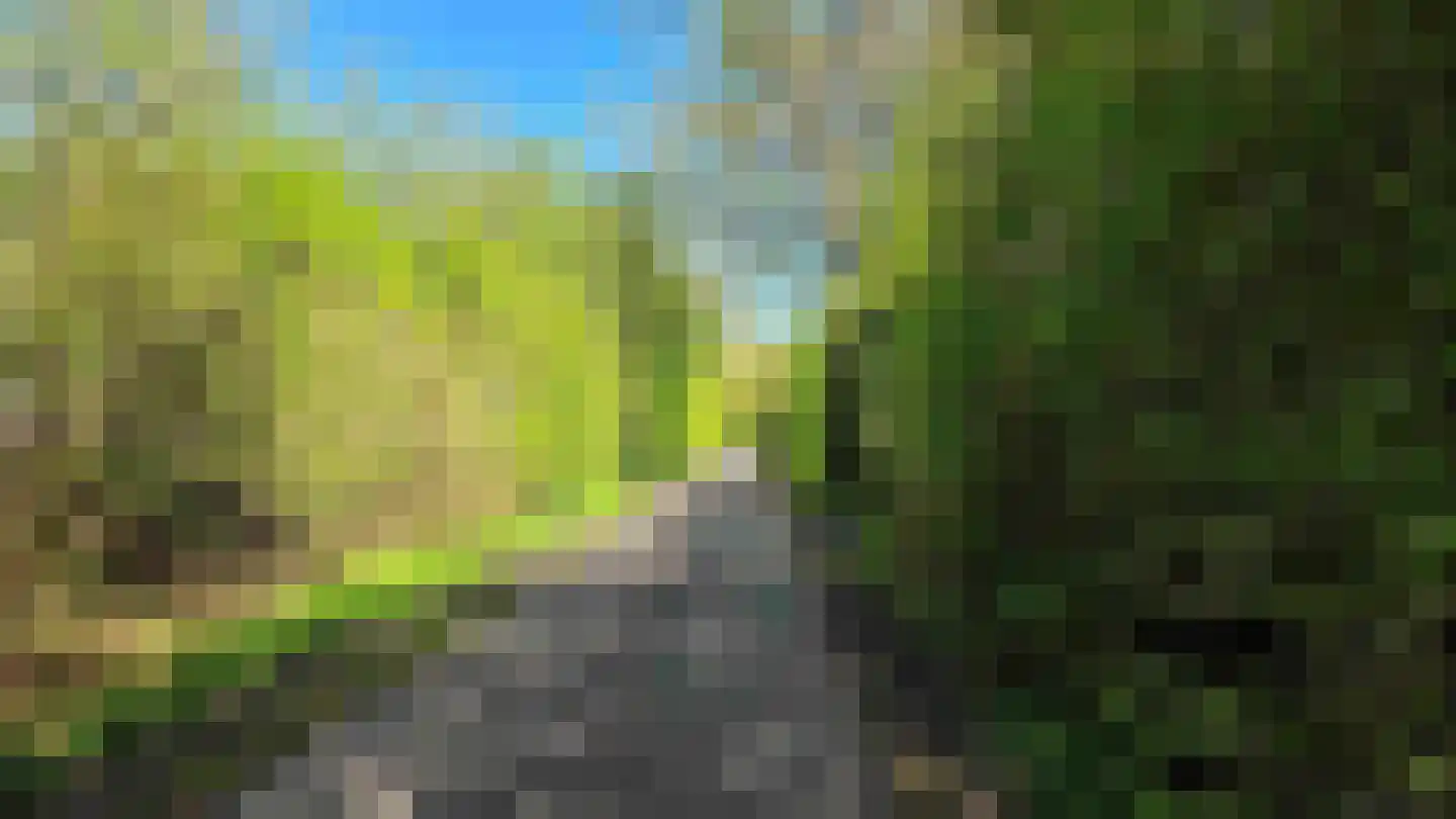 Houtvester Jansenweg 2 26 Gasselte thumbnail 20
