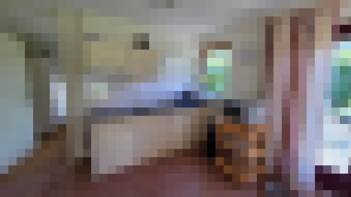 Houtvester Jansenweg 2 26 Gasselte thumbnail 5
