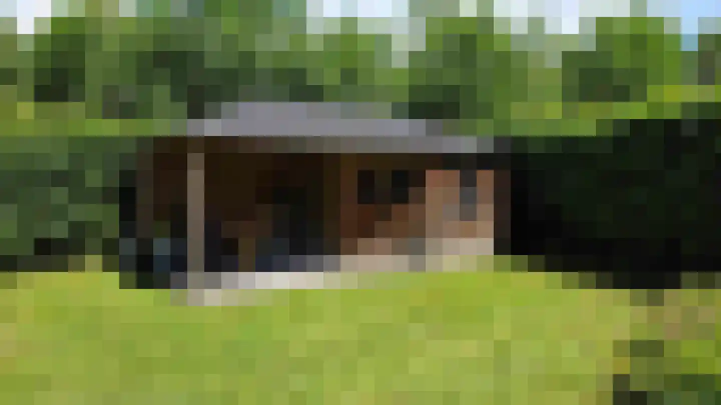 Houtvester Jansenweg 2 26 Gasselte thumbnail 6