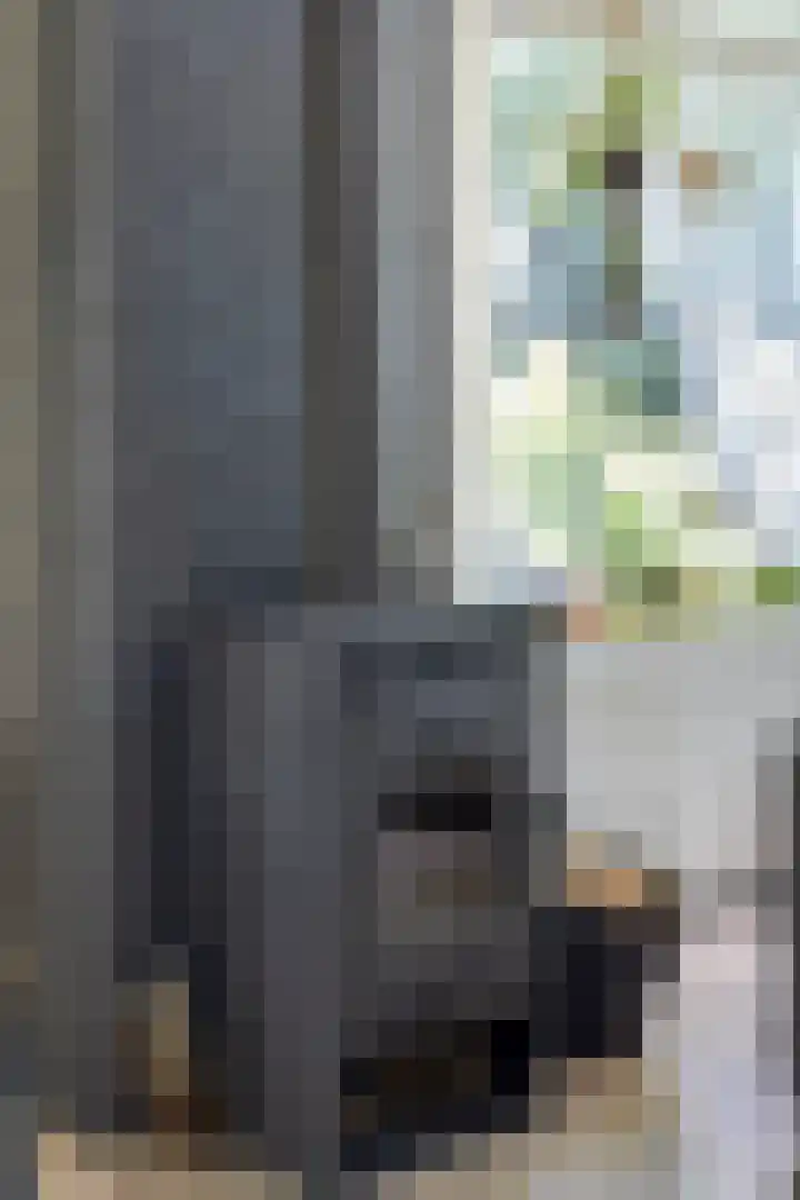 Houtvester Jansenweg 2 30 Gasselte thumbnail 10