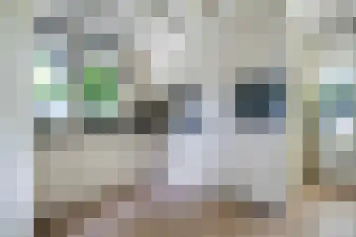 Houtvester Jansenweg 2 30 Gasselte thumbnail 11