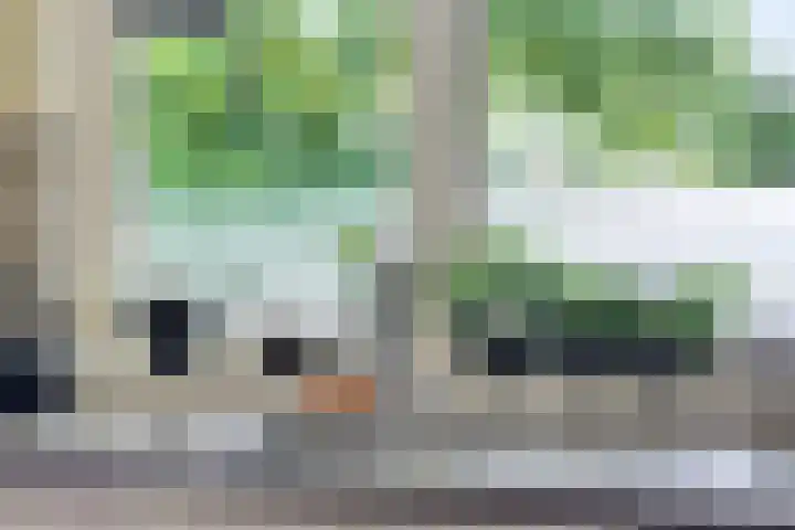 Houtvester Jansenweg 2 30 Gasselte thumbnail 12