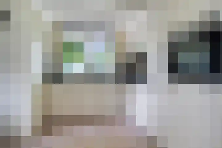 Houtvester Jansenweg 2 30 Gasselte thumbnail 13