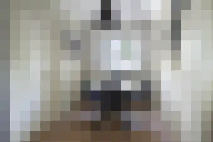 Houtvester Jansenweg 2 30 Gasselte thumbnail 15