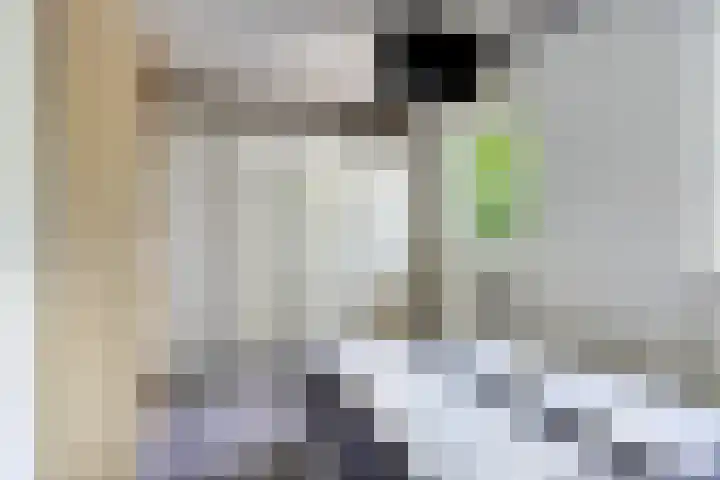 Houtvester Jansenweg 2 30 Gasselte thumbnail 16