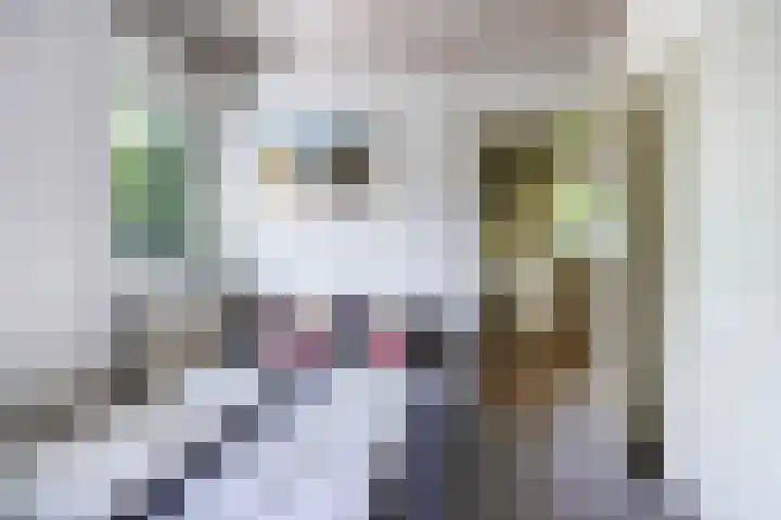 Houtvester Jansenweg 2 30 Gasselte thumbnail 17