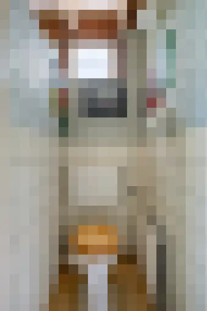 Houtvester Jansenweg 2 30 Gasselte thumbnail 19