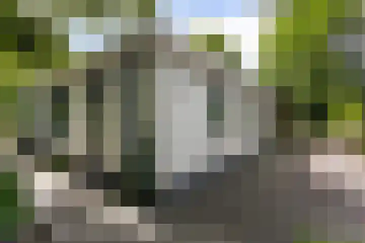 Houtvester Jansenweg 2 30 Gasselte thumbnail 23