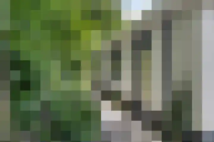 Houtvester Jansenweg 2 30 Gasselte thumbnail 24