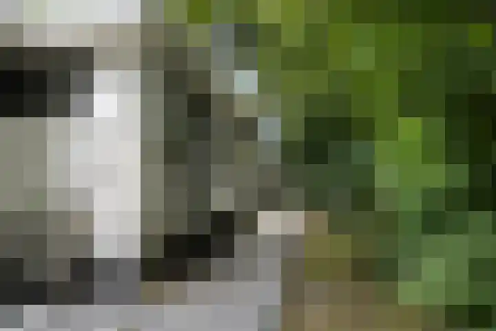 Houtvester Jansenweg 2 30 Gasselte thumbnail 25